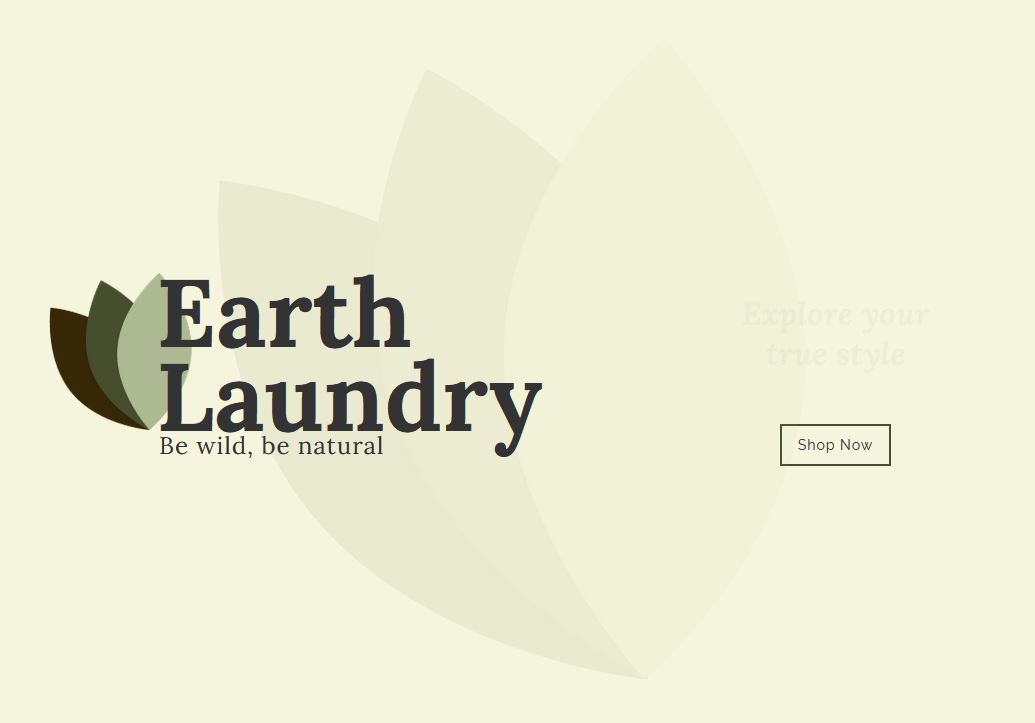 E-COMMERCE 'EARTH LAUNDRY'